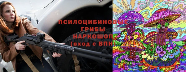 прущие грибы Абдулино