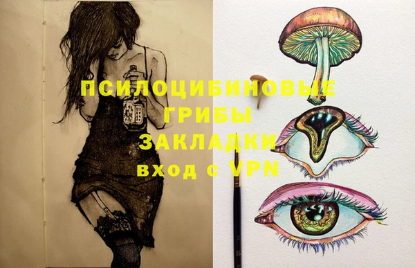 стаф Абаза