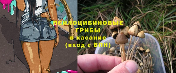 стаф Абаза
