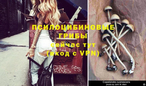 эйфоретик Алексеевка